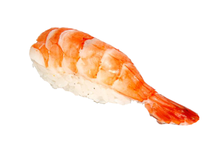 Nigiri Rejer